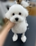�ҥĥ������å�