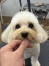 �դ�դ�ޤ�ޤ륫�å�