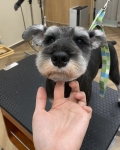 ������󤯤�Υ���ʥ��å�