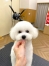 �ӥ����Υƥǥ��٥����å�