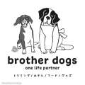 brother dogs1st base