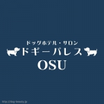 ɥѥ쥹Ź