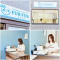 Fur-Fur(եե)