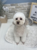 ޤΤޤޤ륫å	