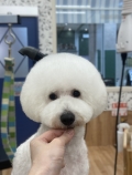 �դ���ޥå��奫�å�