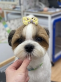 �դ���ݴ饹������