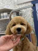 ����ˤ���Υ٥����å�