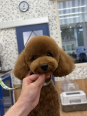 �ޥ��뤯��Τդ���ƥǥ��٥����å�