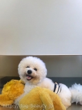 We Love Animals