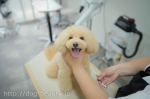 solun grooming studio&hotel
