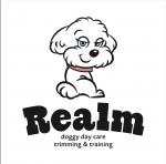 Realm