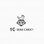 1C-WAN CARAT-�ͳ�ƻŹ