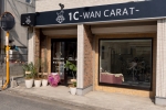 1C-WAN CARAT-�ͳ�ƻŹ