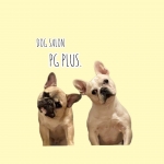 DOG SALON PG PLUS.