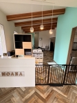 �ڥåȥ�����MOANA