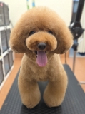 �դ��ꥭ�Υ����å�