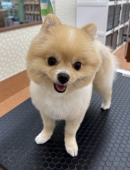 �դ��ꥯ�ޤ��󥫥å�