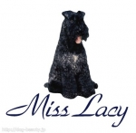 ����������칩˼ Miss Lacy����ë������Ź