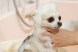 �ɥå������� ���쥤��