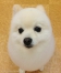 ޤޤ뤿̤å