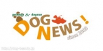 DOG NEWS!