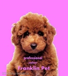 FRANKLINPET