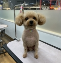 ���������ƥǥ����å�
