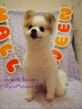 ݥ˥Seventh Heaven