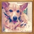 Seventh Heaven