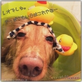 Seventh Heaven