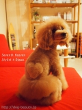 Seventh Heaven