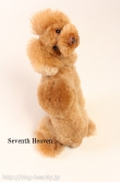 Seventh Heaven