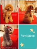 Seventh Heaven