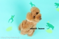 Seventh Heaven