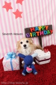 Seventh Heaven