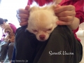 Seventh Heaven