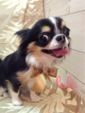 Seventh Heaven