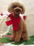 Seventh Heaven