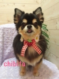 Seventh Heaven