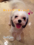 Seventh Heaven