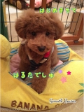 Seventh Heaven