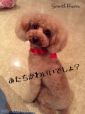 Seventh Heaven