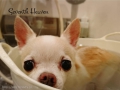 Seventh Heaven