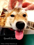 Seventh Heaven