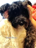 Seventh Heaven