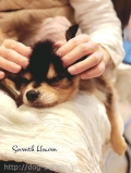 Seventh Heaven