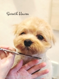 Seventh Heaven