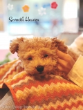 Seventh Heaven