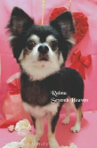 Seventh Heaven