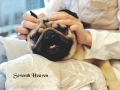 Seventh Heaven